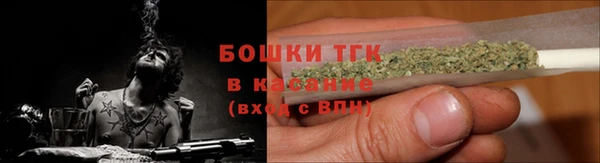 гидра Рославль