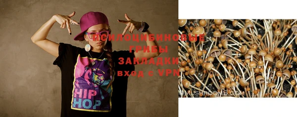 дмт Ростов